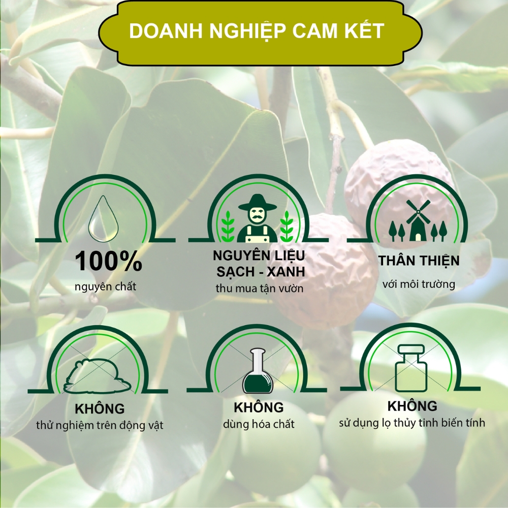 Dầu mù u Tây Đô Đại Phú An (C/10ml)