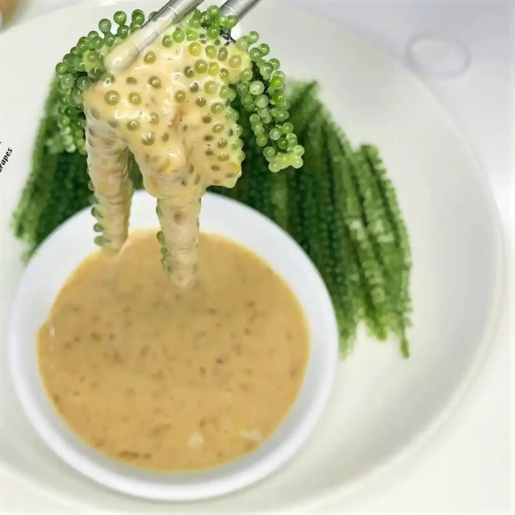 Xốt mè rang Ottogi chai 150g