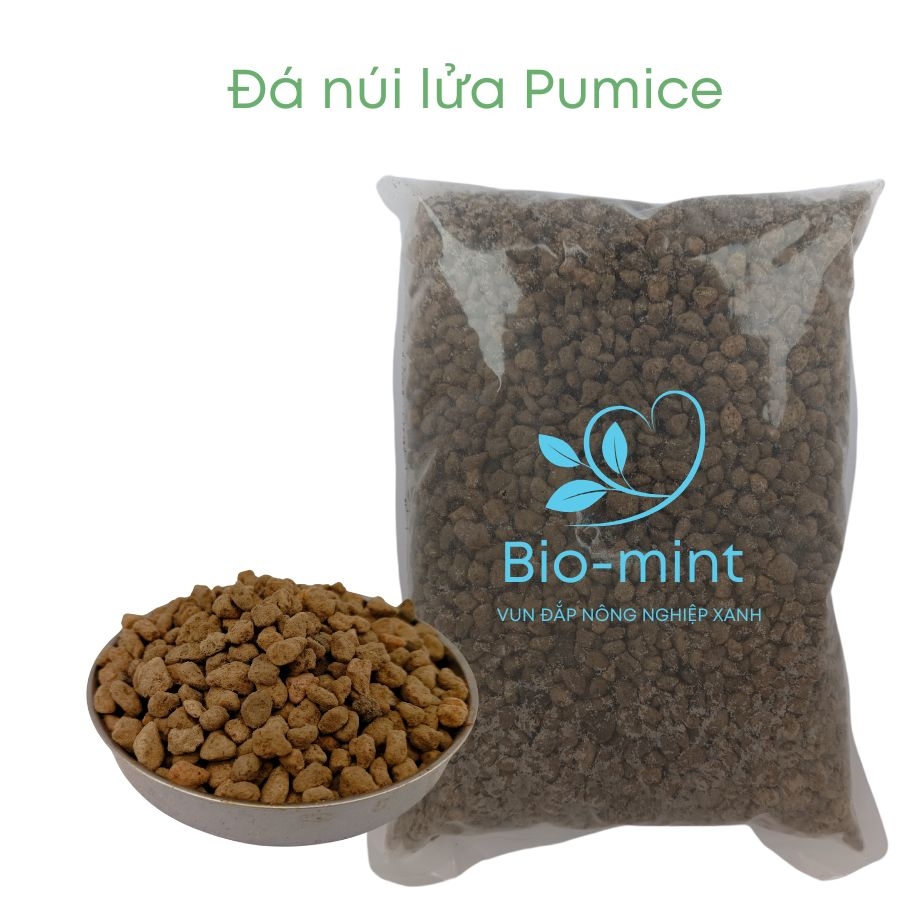 Đá pumice | đá bọt núi lửa | BIO-MINT