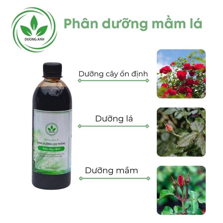 Phân dưỡng mầm lá | DƯƠNG ANH