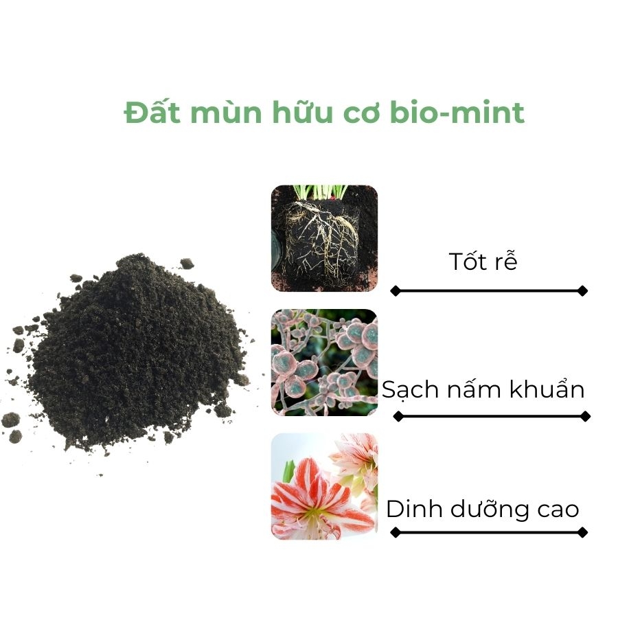 Đất mùn hữu cơ | Đất mùn Bio-mint