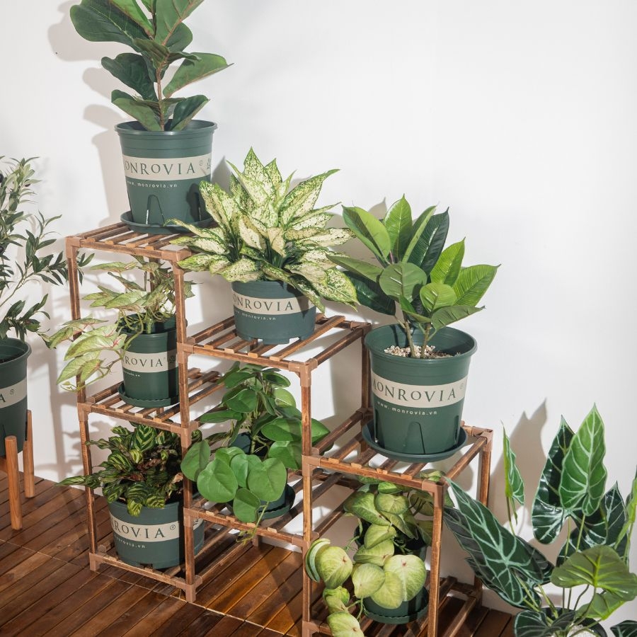 Chậu nhựa trồng cây MONROVIA 5 Gallon để bàn, treo ban công, treo tường, ngoài trời, sân vườn, tiêu chuẩn Châu Âu