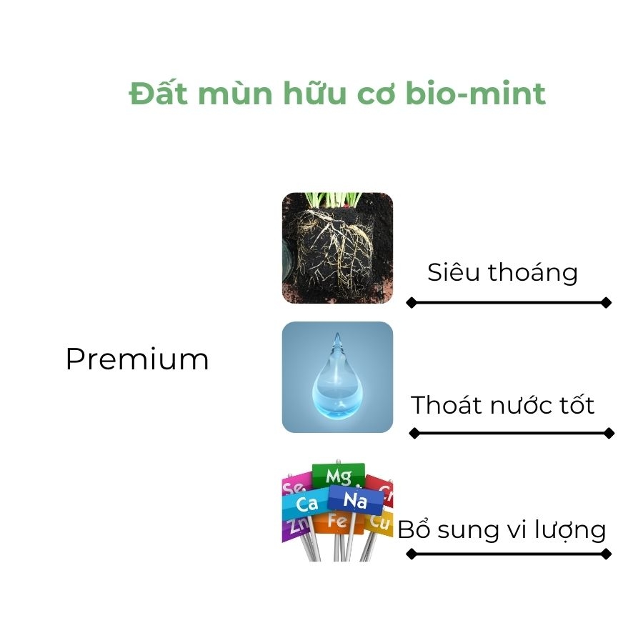 Đất mùn hữu cơ | Đất mùn Bio-mint