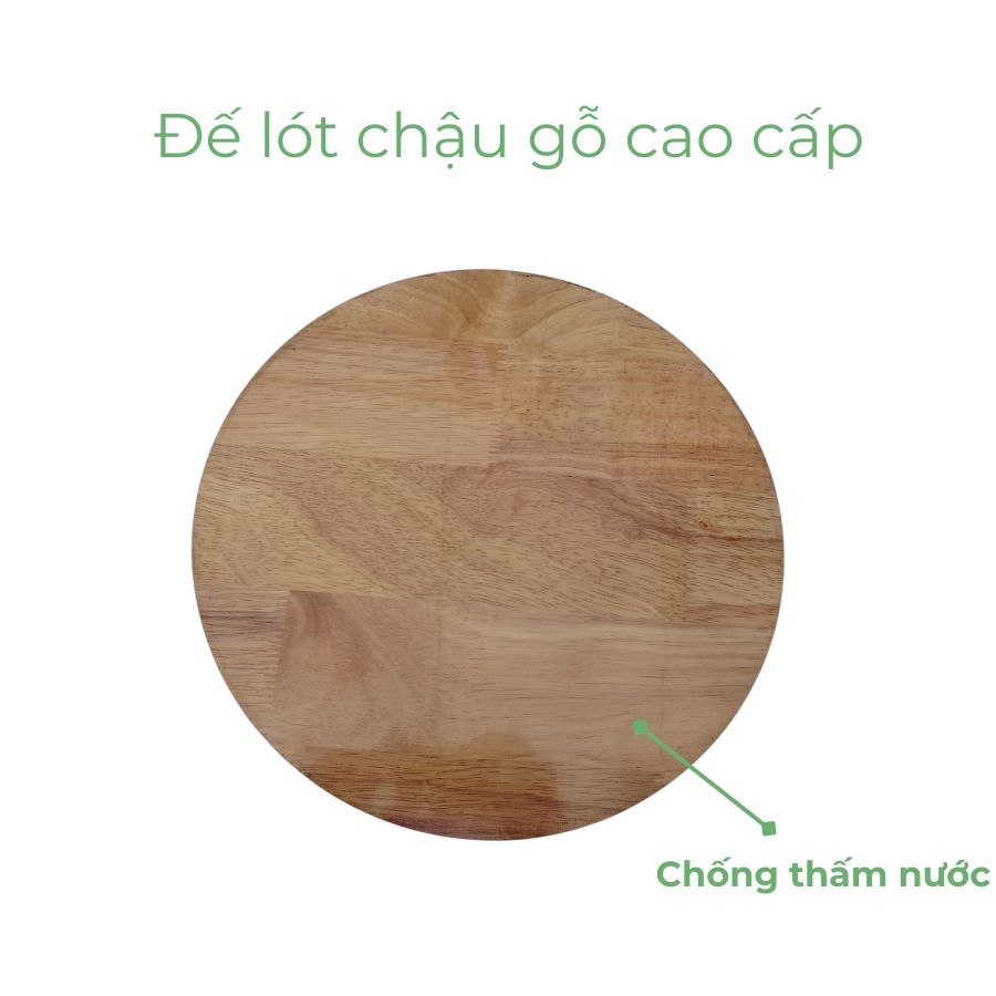 Đế lót để chậu cây có bánh xe cao cấp