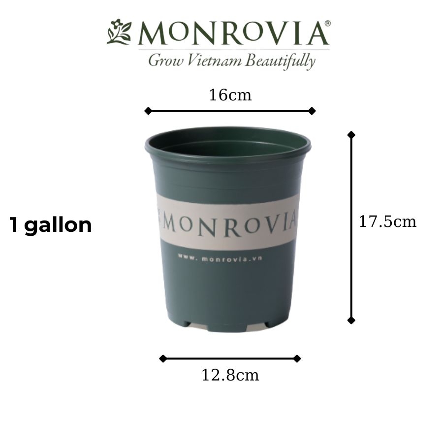 Chậu nhựa Monrovia 1 gallon