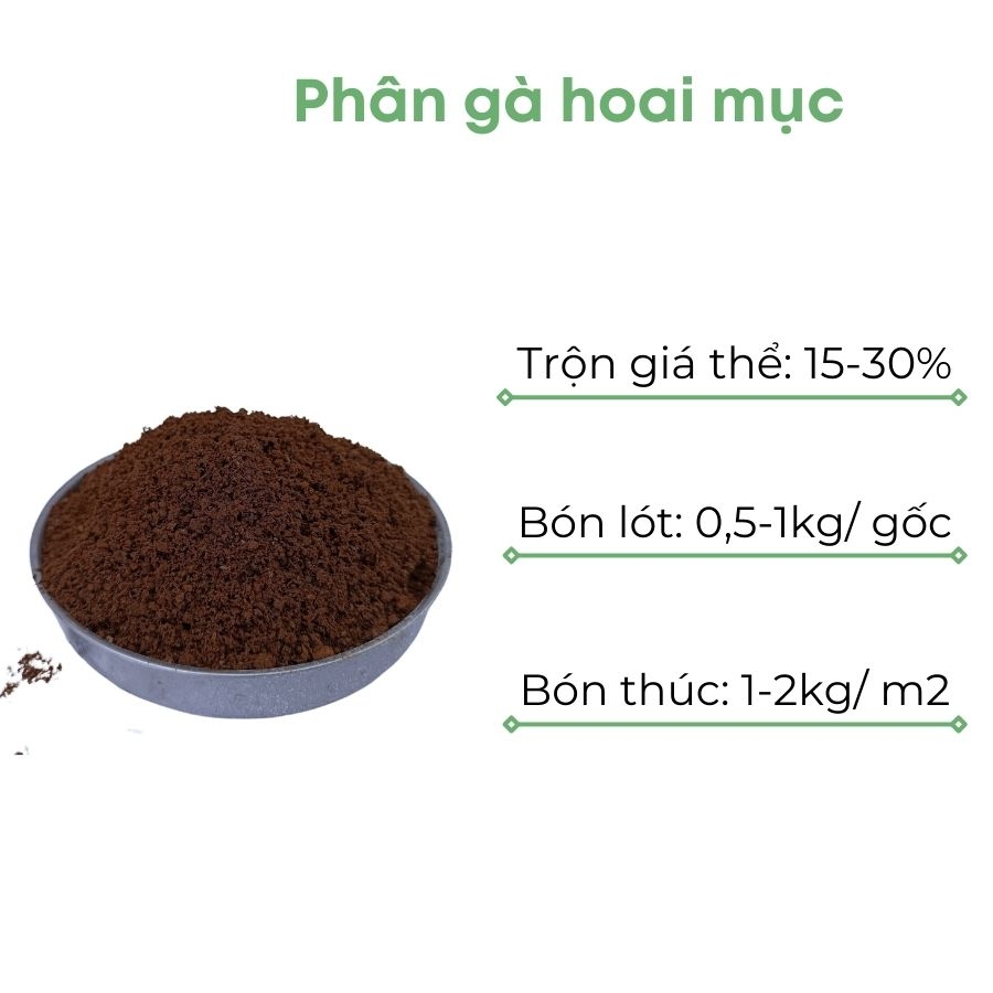 Phân gà ủ hoai | BIO-MINT