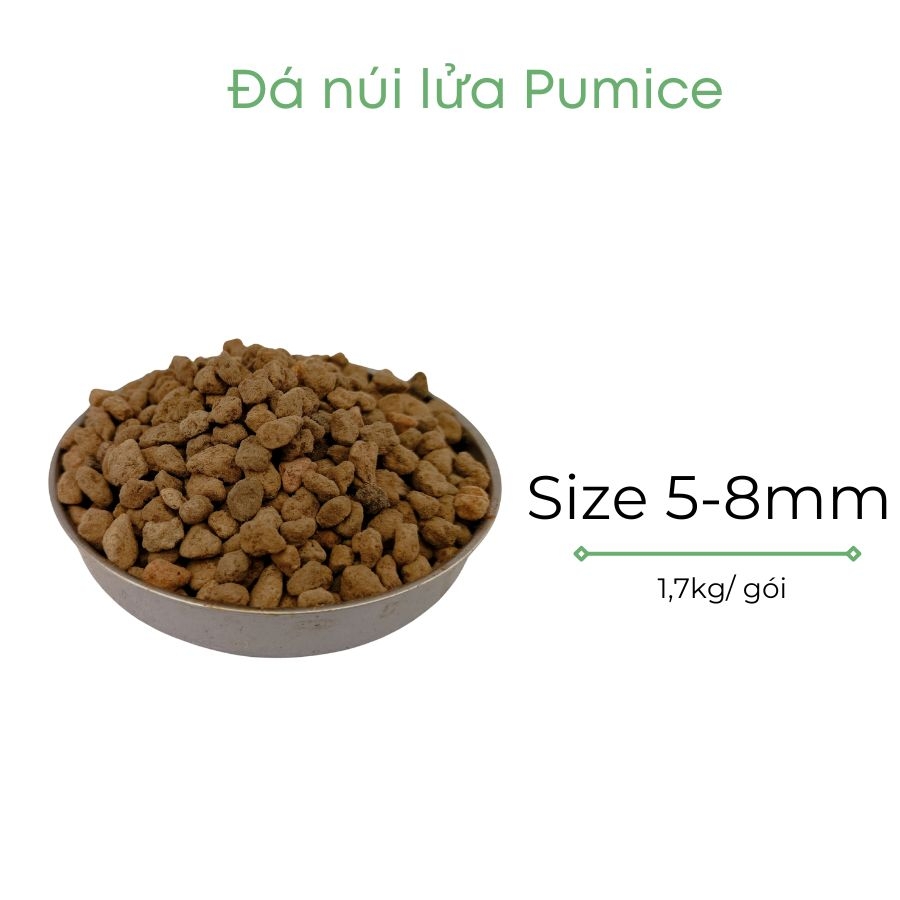 Đá pumice | đá bọt núi lửa | BIO-MINT