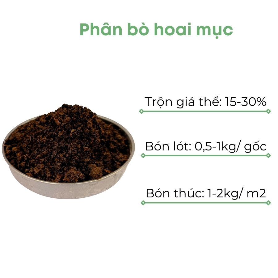 Phân bò vi sinh ủ hoai mục | BIO-MINT