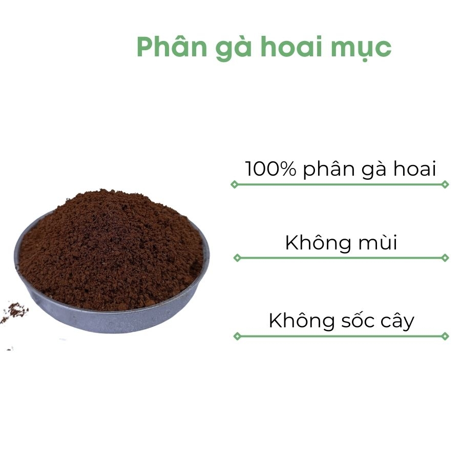 Phân gà ủ hoai | BIO-MINT