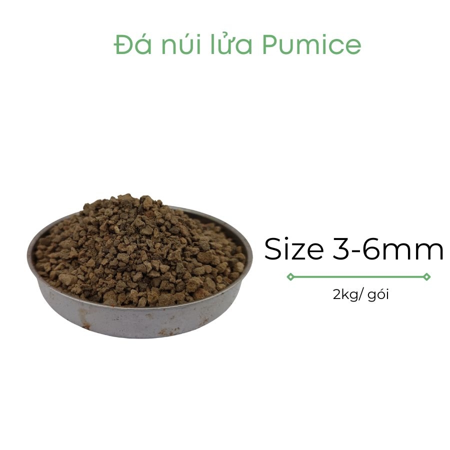 Đá pumice | đá bọt núi lửa | BIO-MINT