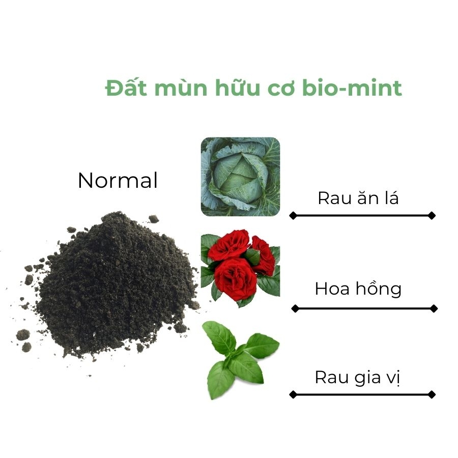Đất mùn hữu cơ | Đất mùn Bio-mint