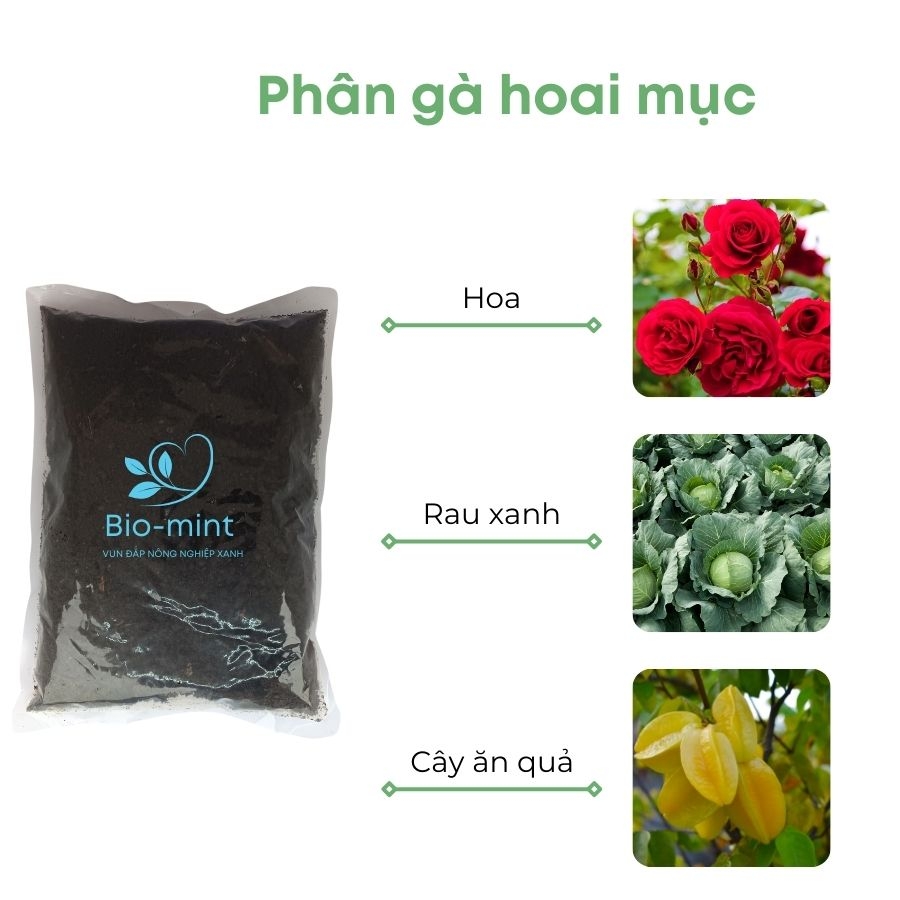 Phân gà ủ hoai | BIO-MINT