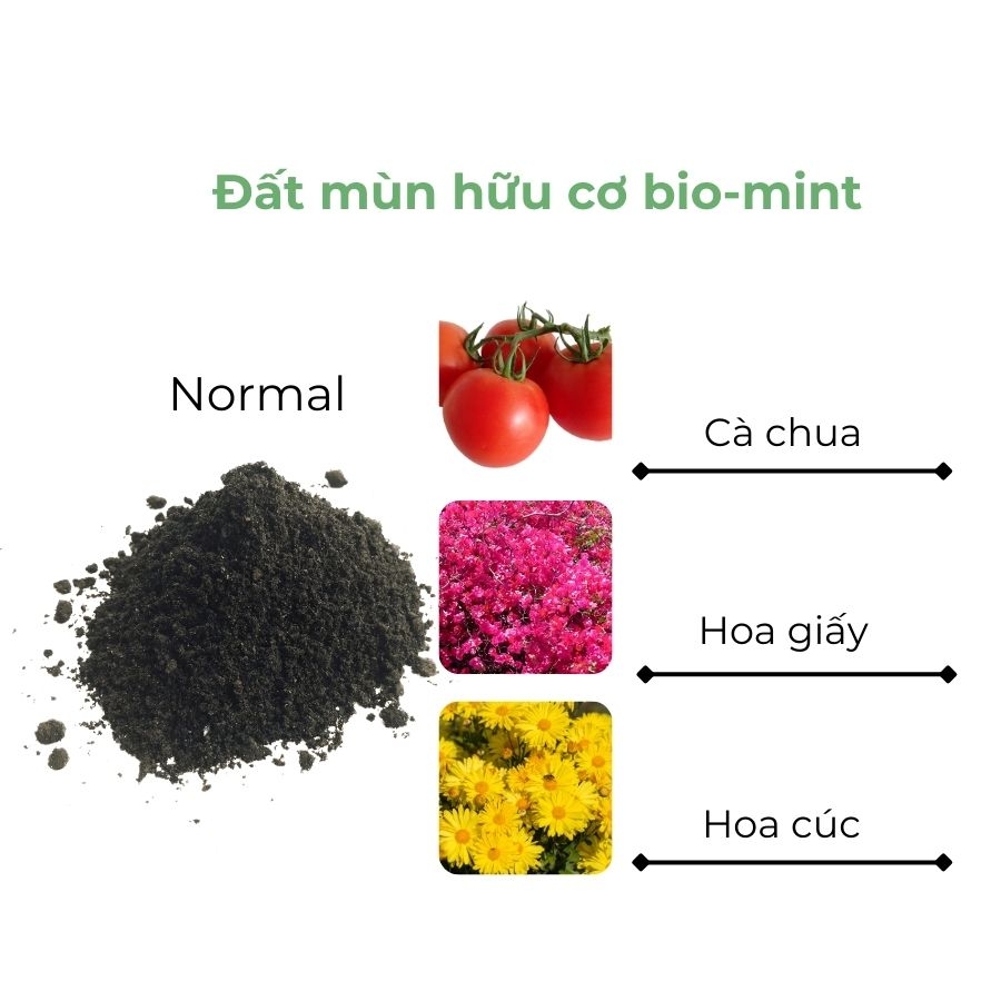 Đất mùn hữu cơ | Đất mùn Bio-mint