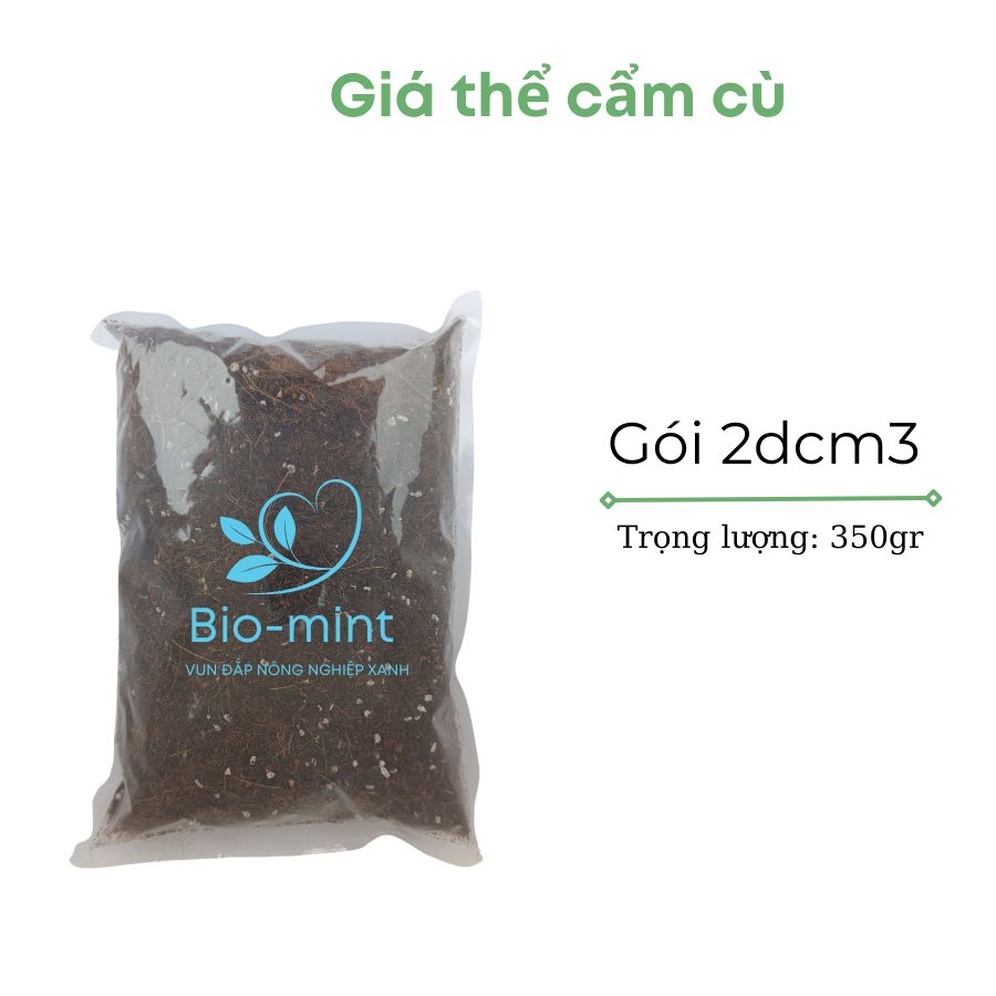 Giá thể trồng cẩm cù | BIO-MINT
