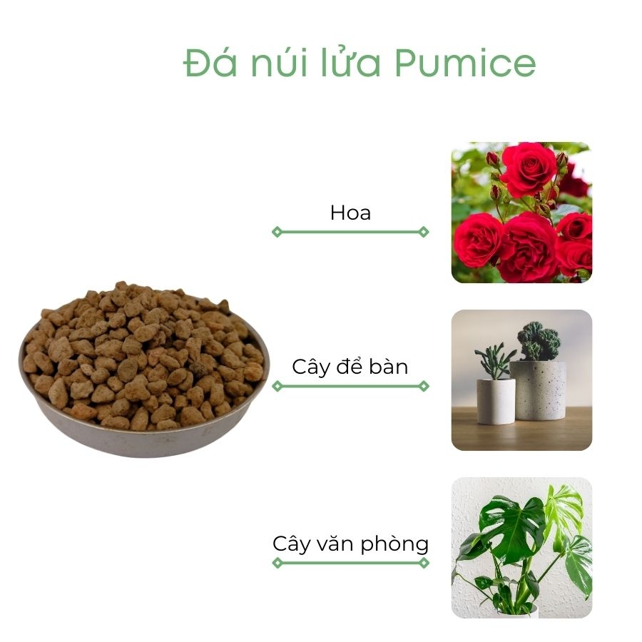 Đá pumice | đá bọt núi lửa | BIO-MINT