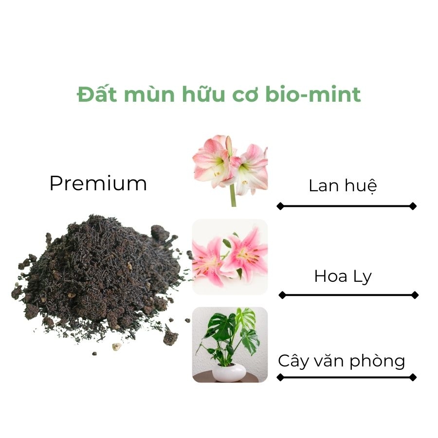 Đất mùn hữu cơ | Đất mùn Bio-mint
