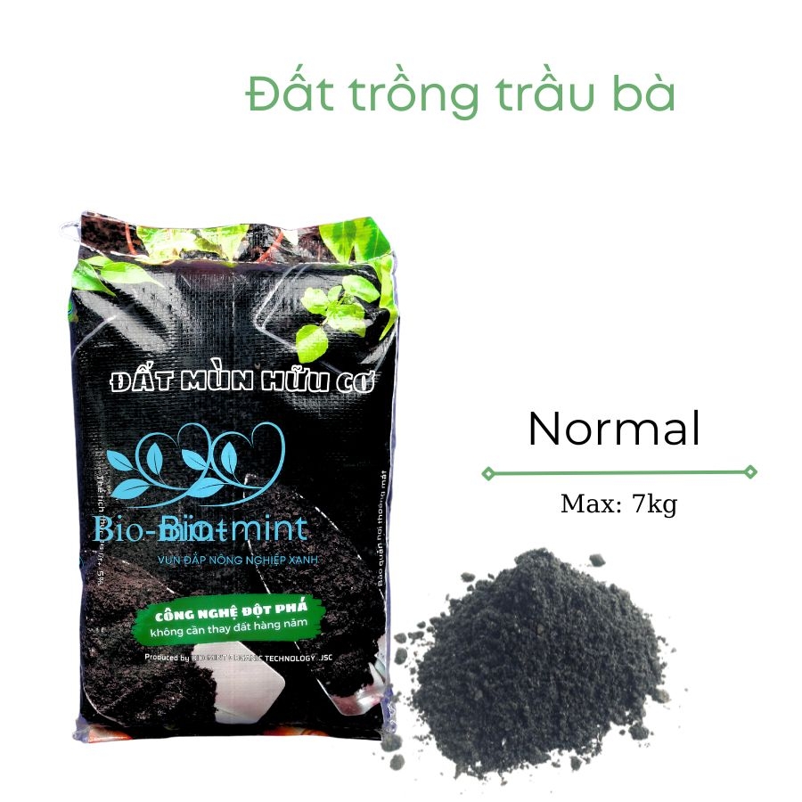 Đất trồng cây trầu bà | đất mùn hữu cơ Bio-mint