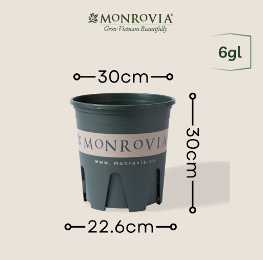 Chậu nhựa chính hãng MONROVIA  6GL-M đáy siêu thoáng | Φ30 | hàng nhập khẩu chính ngạch 100%