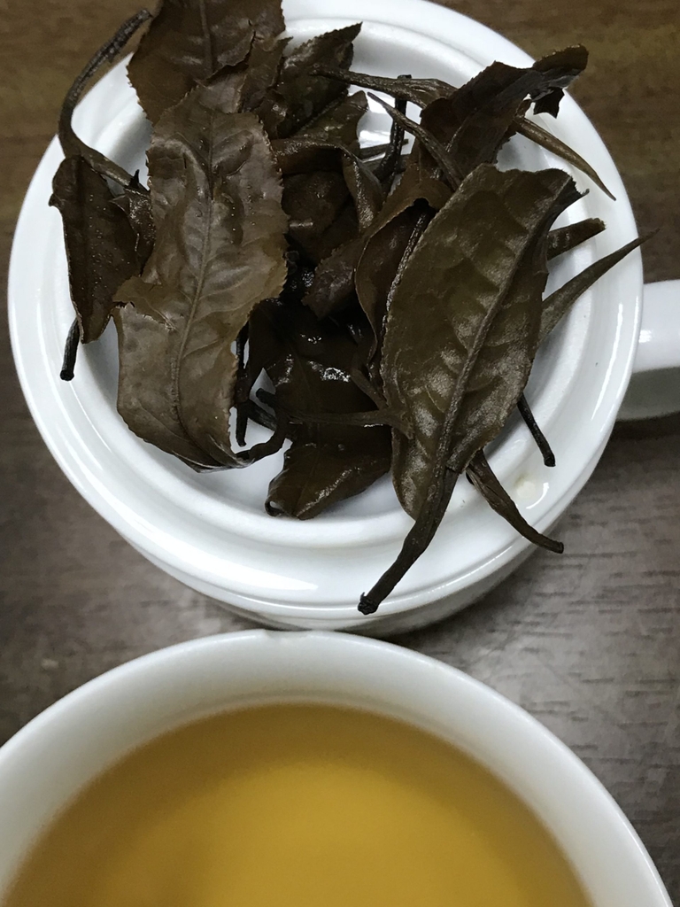 Lá bạch trà sau khi pha