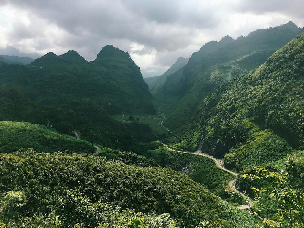 Bashtea Ancient Shan Tuyết Tea