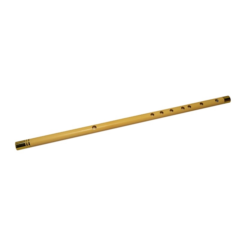 Sáo học cụ
