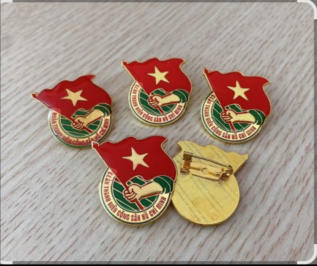 Sổ Đoàn viên, huy hiệu đoàn