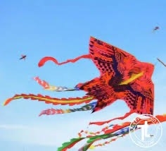 Con Diều Các mẫu