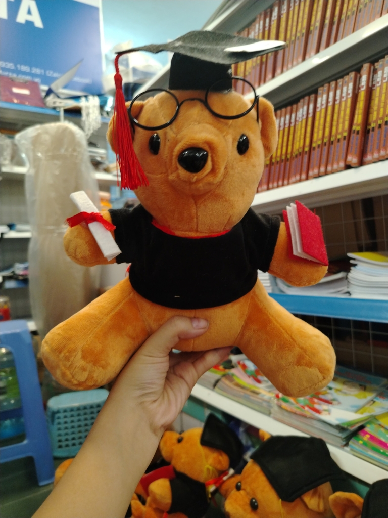 Thú bông Gấu