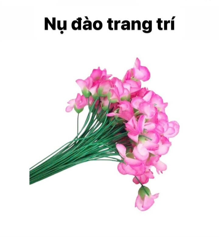 Phụ kiện cây cảnh tết