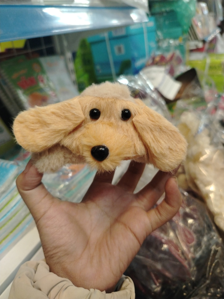 Gắp tóc lông A0