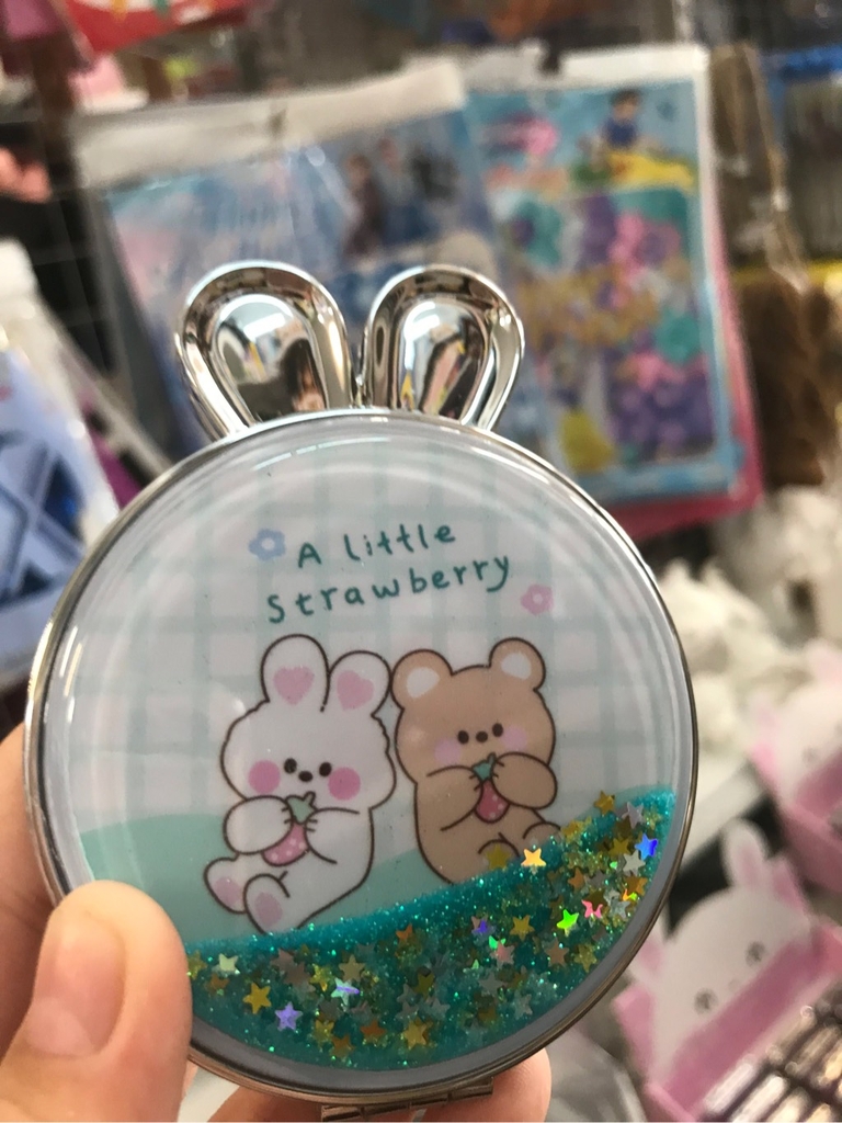 Gương túi