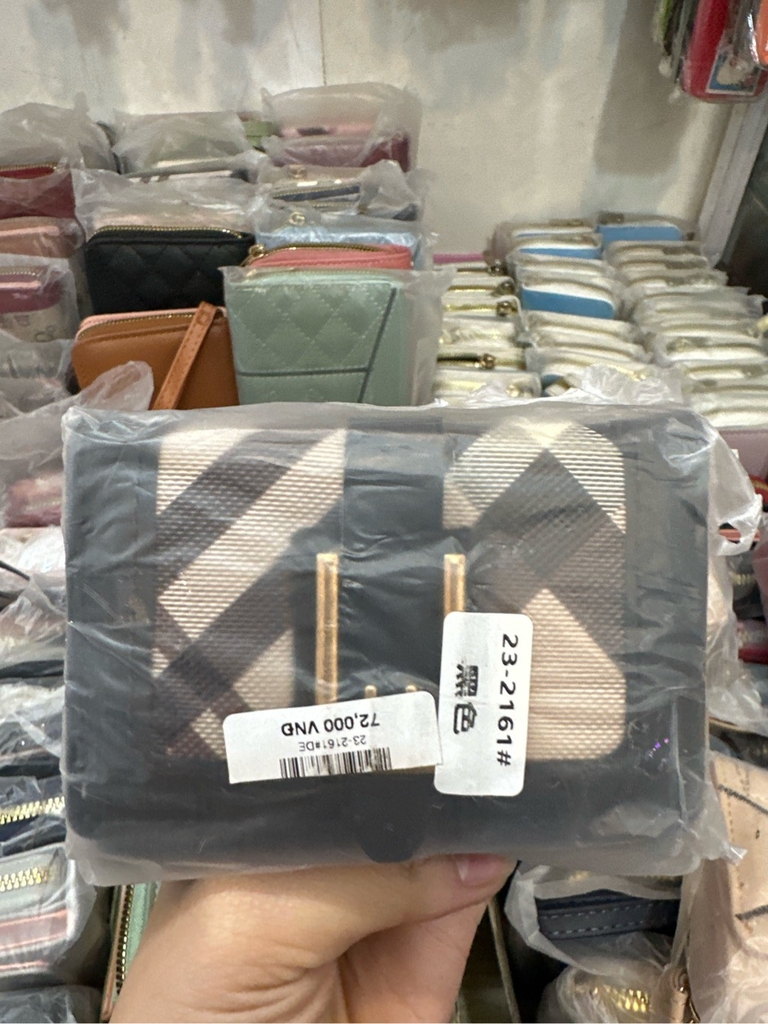 Ví tiền nữ
