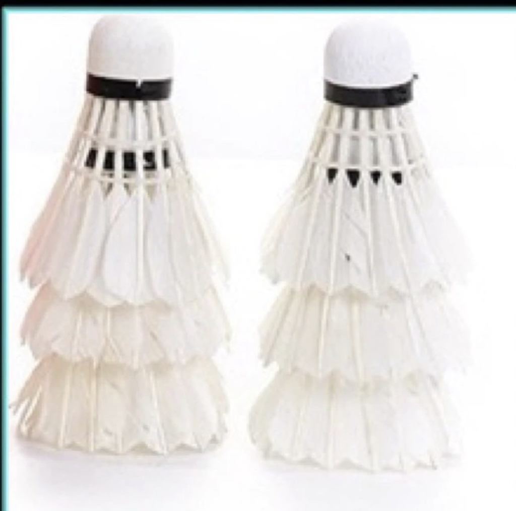 Trái cầu lông 6031