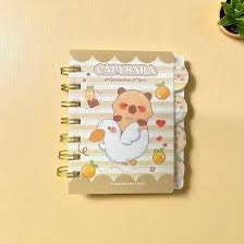 Sổ lò xo NT