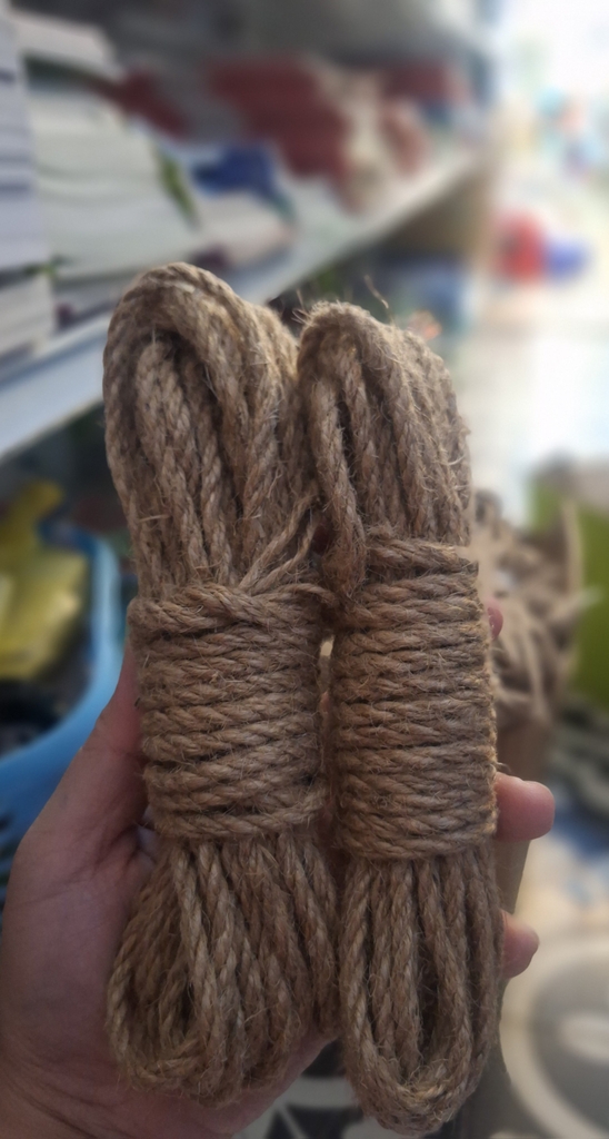 Dây dừa