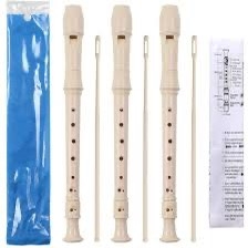 Sáo học cụ
