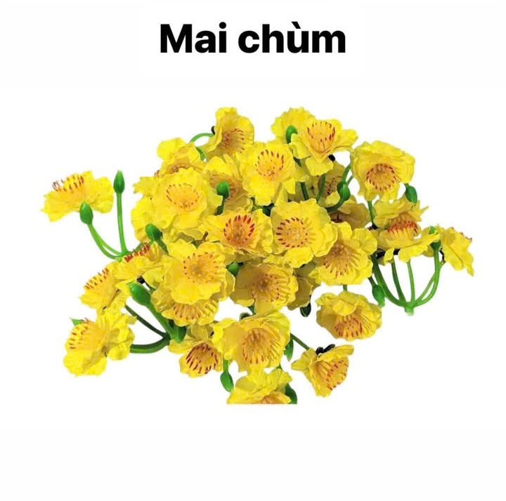 Phụ kiện cây cảnh tết
