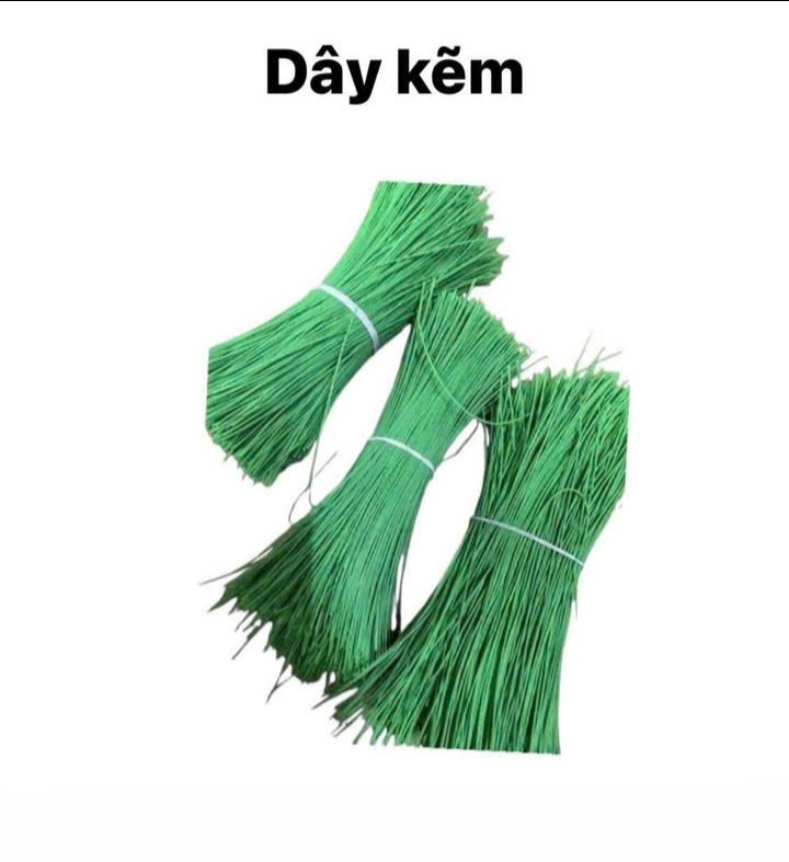 Phụ kiện cây cảnh tết