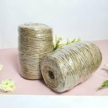Dây dừa