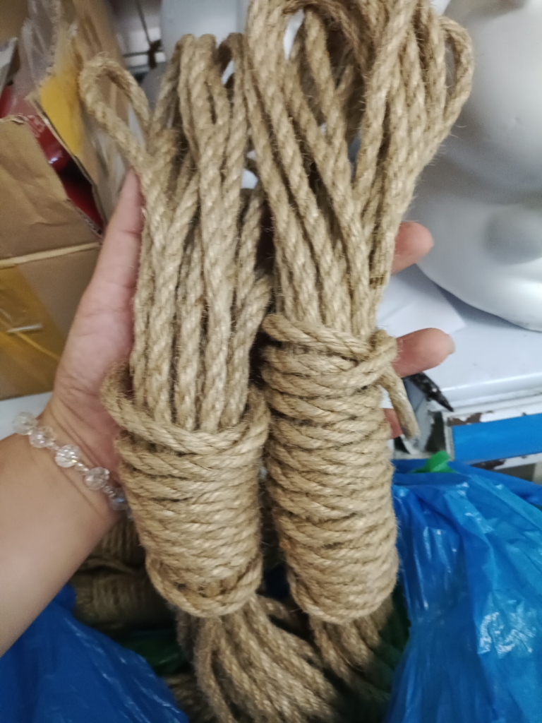 Dây dừa