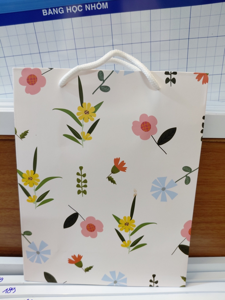 Túi giấy dây LD