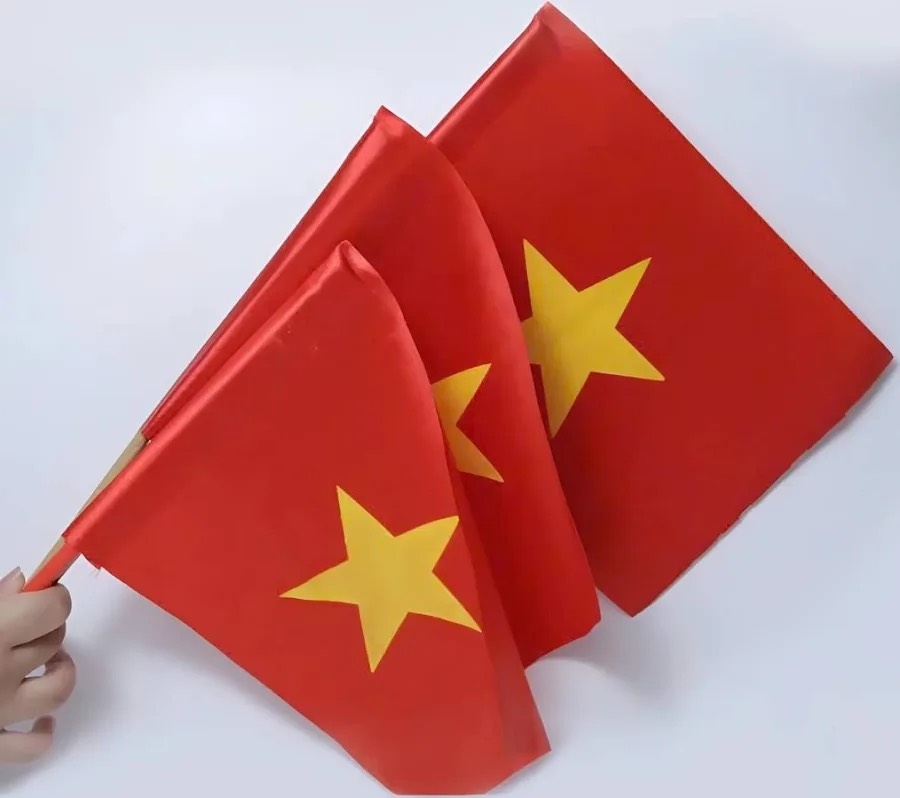 Cờ cầm tay