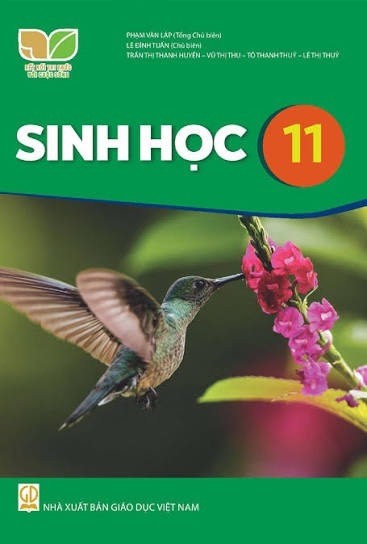 Sách giáo khoa lớp 11