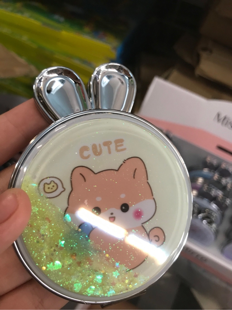 Gương túi