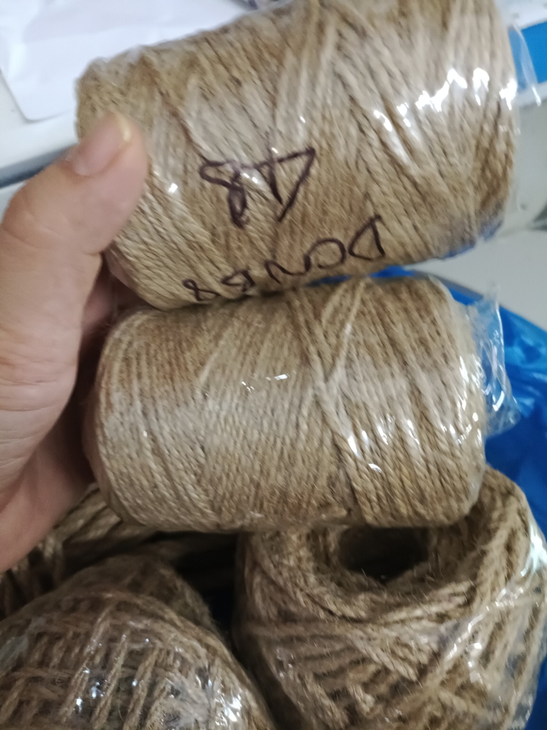 Dây dừa