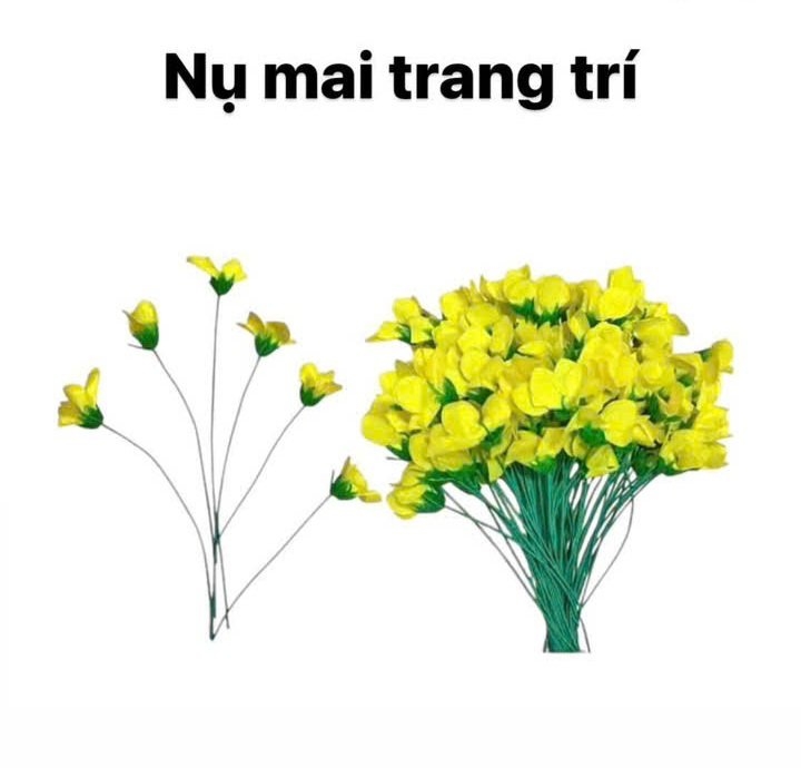Phụ kiện cây cảnh tết