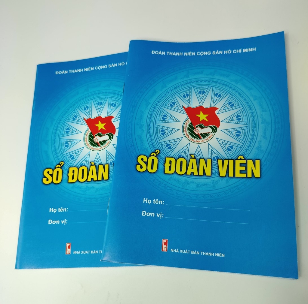 Sổ Đoàn viên, huy hiệu đoàn