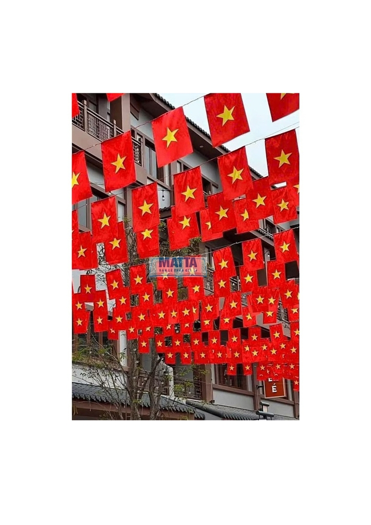 Cờ dây