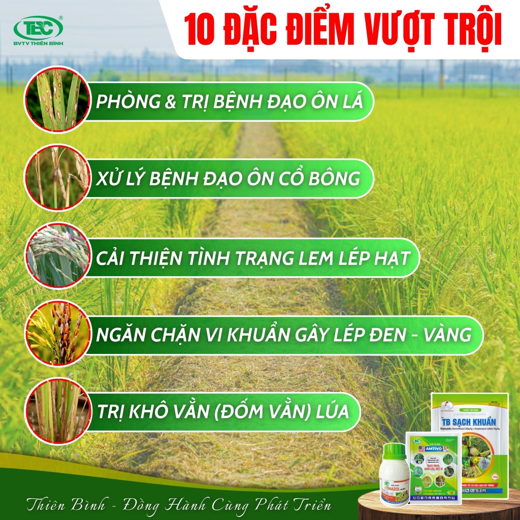 BỘ 3 KIM CƯƠNG