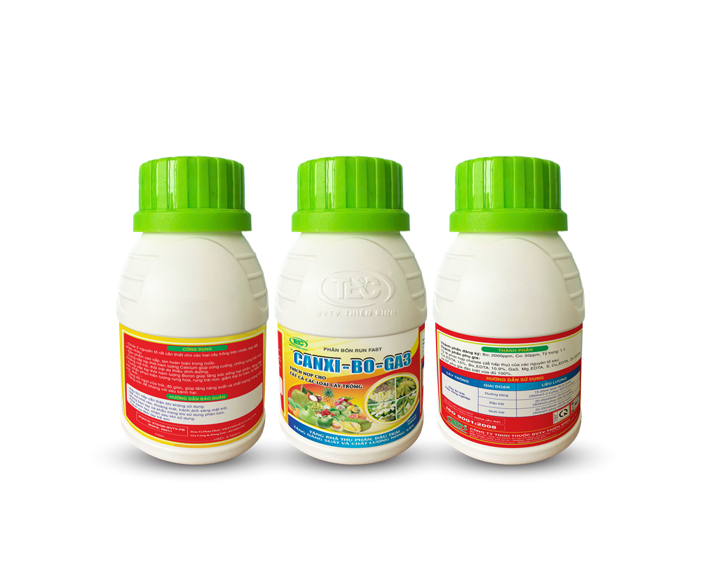 CANXI-BO-GA3